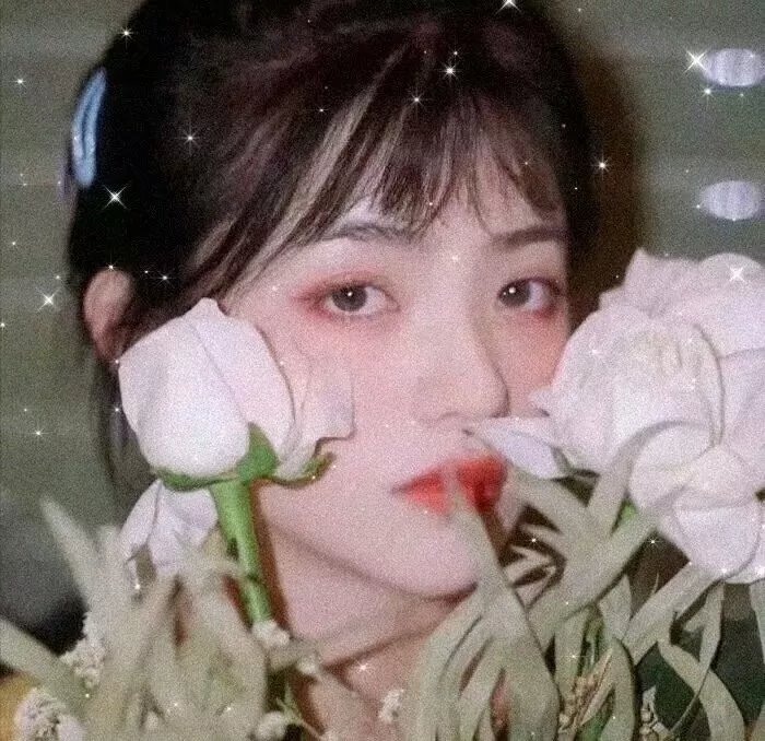防己